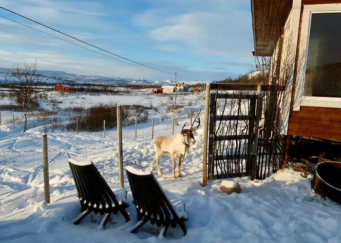 Nyaraló Suovka Reindeer *