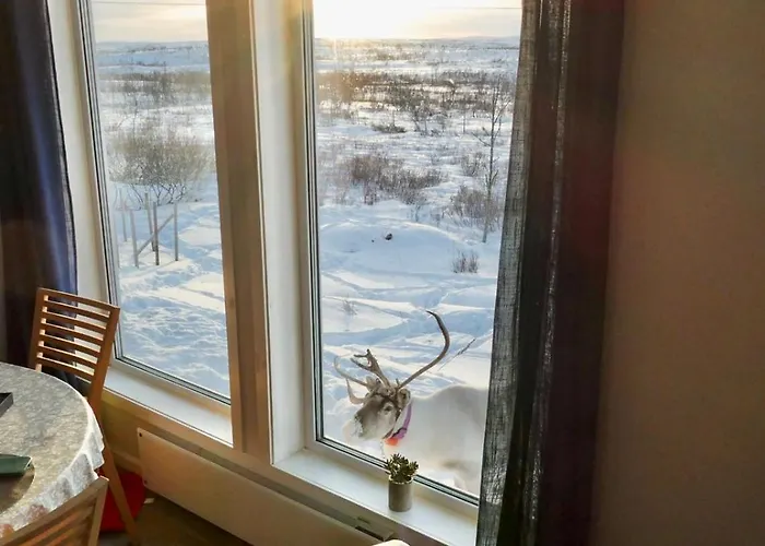 Dom wakacyjny Suovka Reindeer *